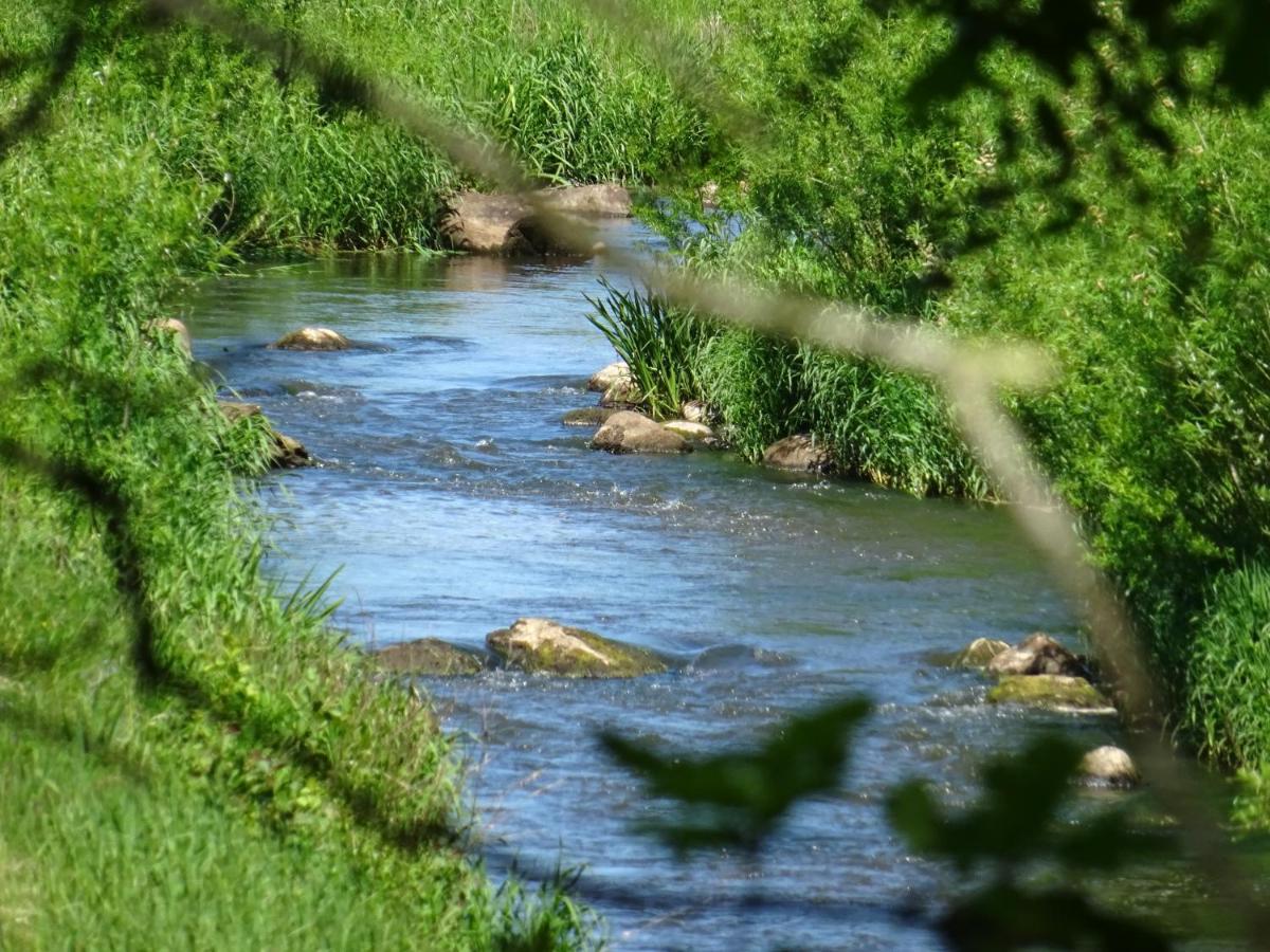 Haus Wald Und Wiese Wohnung Wiese Ehndorf Εξωτερικό φωτογραφία