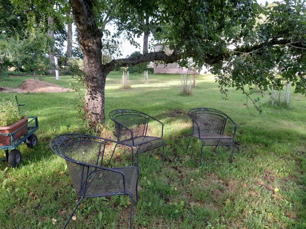 Haus Wald Und Wiese Wohnung Wiese Ehndorf Εξωτερικό φωτογραφία