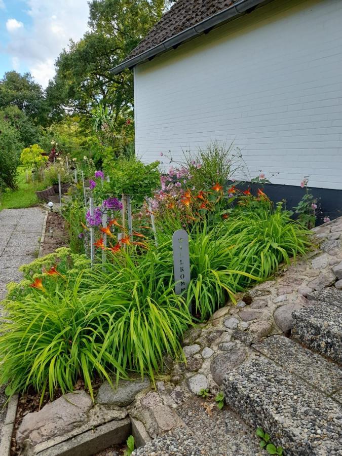 Haus Wald Und Wiese Wohnung Wiese Ehndorf Εξωτερικό φωτογραφία